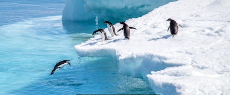 Scenic view from 10-night Antarctica Cruise