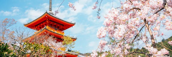 Scenic view from 14-night Japan Intensive Voyage