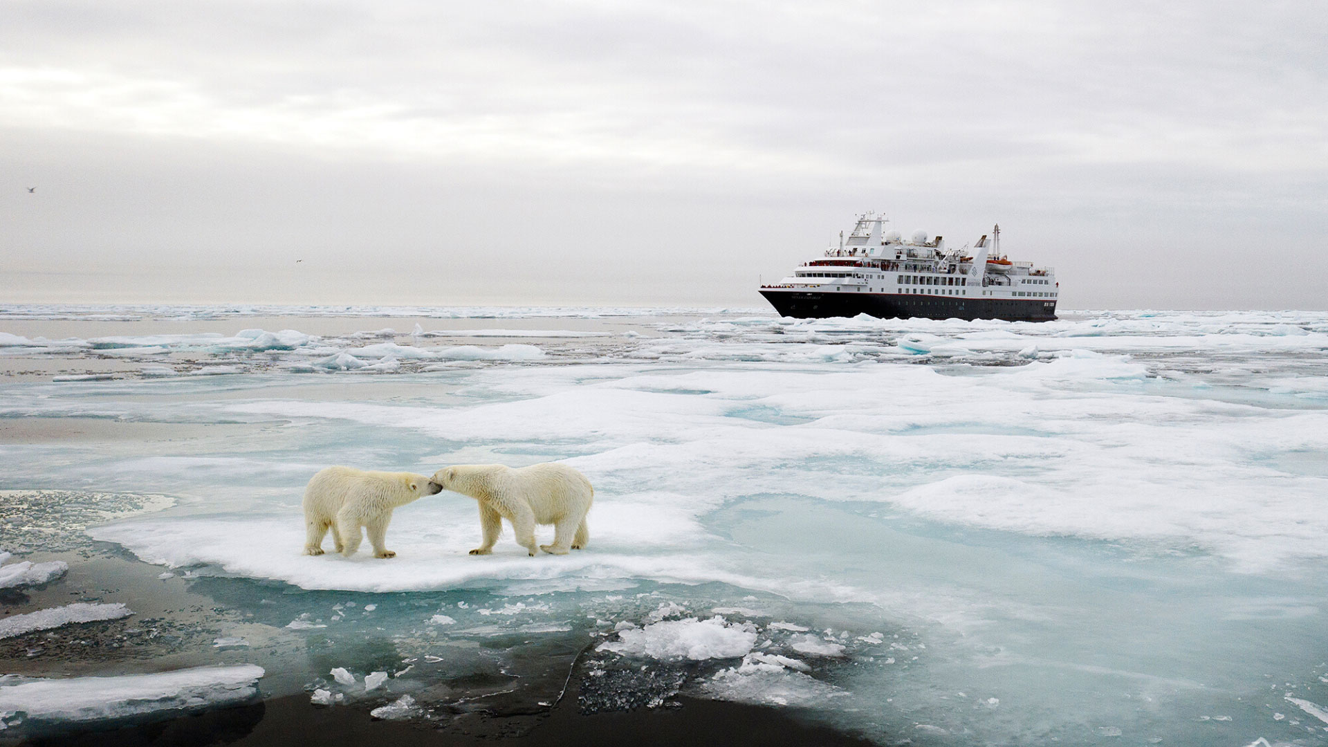 Silversea Expedition Cruising