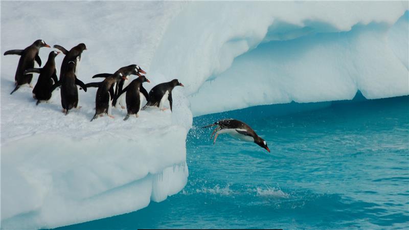 Inside Expedition Cruising: A Conversation with HX’s Chief Expedition Officer